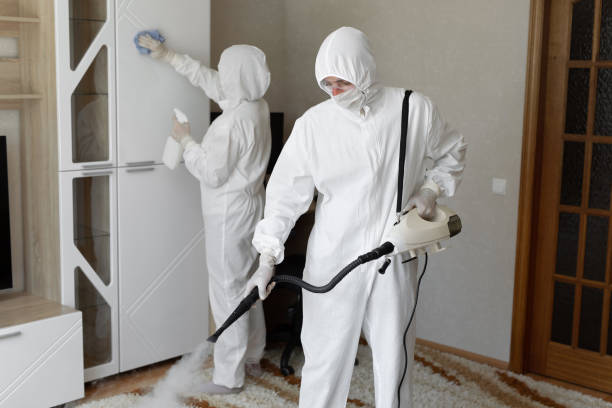 Mold Removal Process in Awendaw, SC