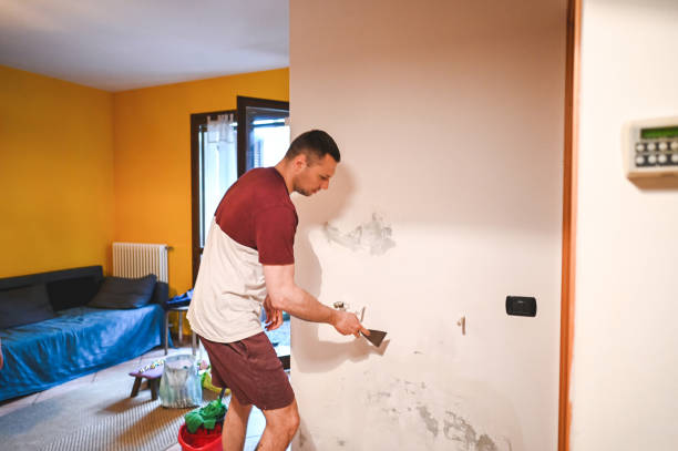 Mold Testing and Removal in Awendaw, SC